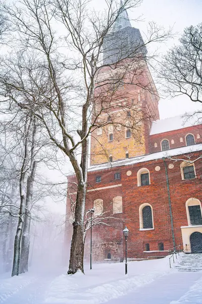 芬兰图尔库 2023年3月27日 冬季城市景观 人类发展报告 — 图库照片