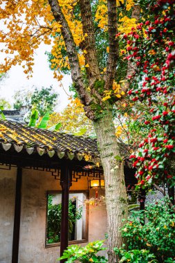 Suzhou, Çin - Aralık 12023: Çiftin bulutlu havada dinlenme bahçesi, HDR Görüntü
