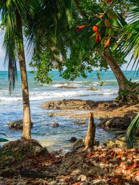 Cahuita 'nın güzel manzarası, Kosta Rika Karayip Sahili 