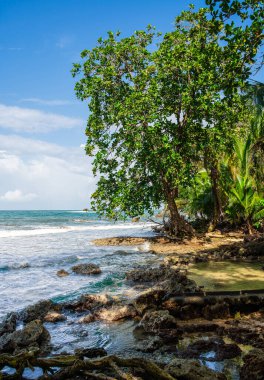 Cahuita 'nın güzel manzarası, Kosta Rika Karayip Sahili