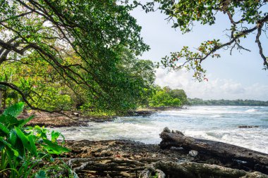 Cahuita 'nın güzel manzarası, Kosta Rika Karayip Sahili