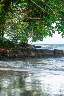 Cahuita 'nın güzel manzarası, Kosta Rika Karayip Sahili