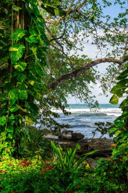 Cahuita 'nın güzel manzarası, Kosta Rika Karayip Sahili