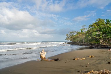 Cahuita 'nın güzel manzarası, Kosta Rika Karayip Sahili