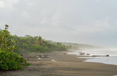 Cahuita 'nın güzel manzarası, Kosta Rika Karayip Sahili