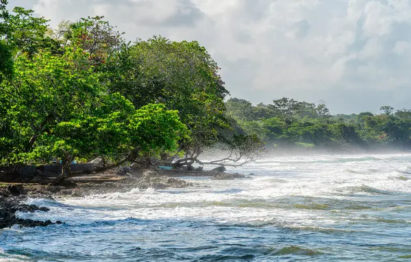 Bela Vista Cahuita Costa Rica Caribbean Coast — Fotografia de Stock