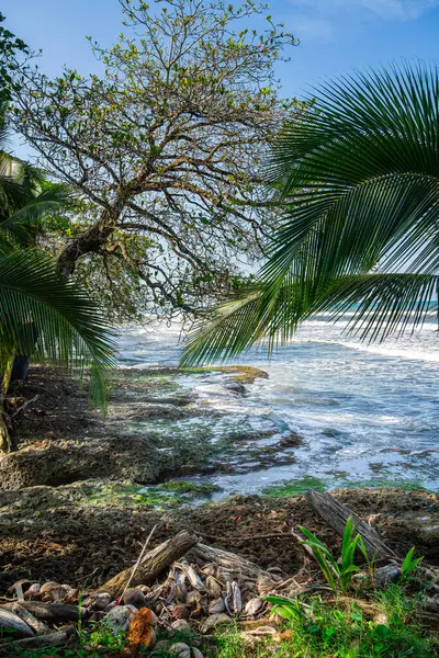 Cahuita Nın Güzel Manzarası Kosta Rika Karayip Sahili — Stok fotoğraf