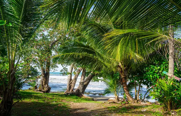 Gyönyörű Kilátás Nyílik Cahuita Costa Rica Karib Tenger Partján — Stock Fotó