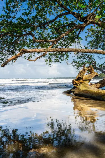 Piękny Widok Cahuita Kostaryka Wybrzeże Karaibów — Zdjęcie stockowe