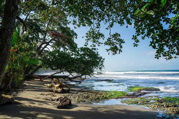 Piękny Widok Cahuita Kostaryka Wybrzeże Karaibów — Zdjęcie stockowe