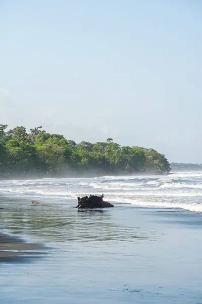 Cahuita Nın Güzel Manzarası Kosta Rika Karayip Sahili — Stok fotoğraf