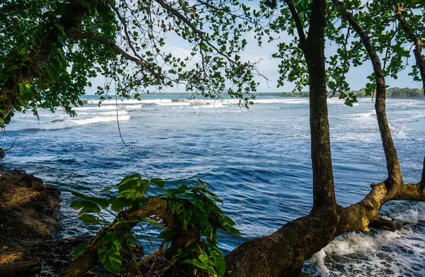 Vacker Utsikt Över Cahuita Costa Rica Caribbean Coast — Stockfoto