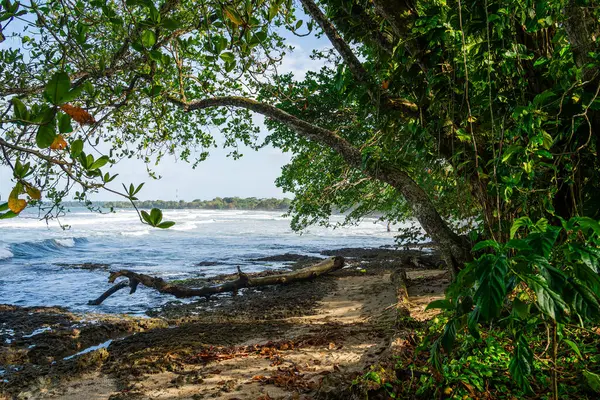Schöne Aussicht Auf Cahuita Costa Rica Karibikküste — Stockfoto