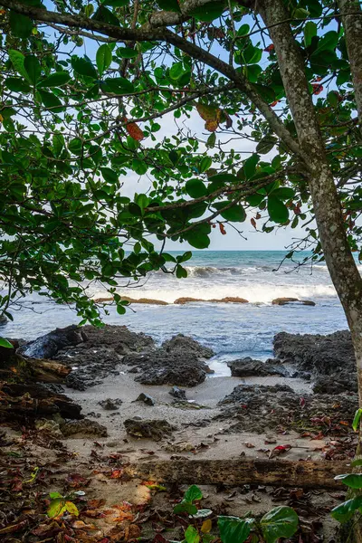 Όμορφη Θέα Της Cahuita Κόστα Ρίκα Καραϊβική Ακτή — Φωτογραφία Αρχείου