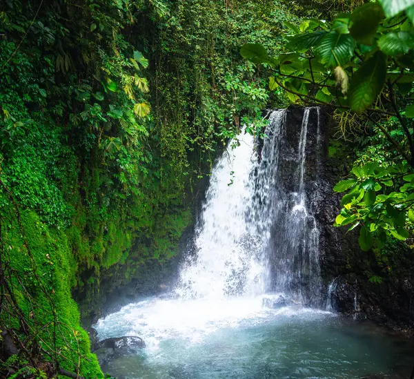 Arenal National Park Costa Rica — Stock Photo, Image