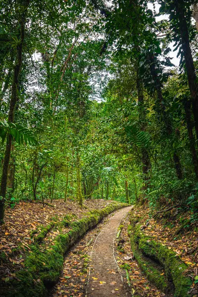 Kosta Rika Daki Arenal Ulusal Parkı — Stok fotoğraf