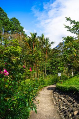 Kosta Rika 'daki El Arenal Ulusal Parkı manzarası