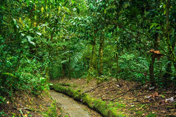 Vista Panorámica Del Parque Nacional Arenal Costa Rica — Foto de Stock