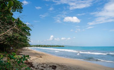 Kosta Rika 'daki Cahuita Milli Parkı manzarası