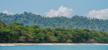 Kosta Rika 'daki Cahuita Milli Parkı manzarası