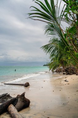 Kosta Rika 'daki Cahuita Milli Parkı manzarası