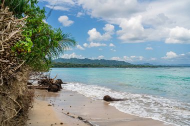 Kosta Rika 'daki Cahuita Milli Parkı manzarası