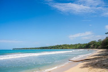 Kosta Rika 'daki Cahuita Milli Parkı manzarası