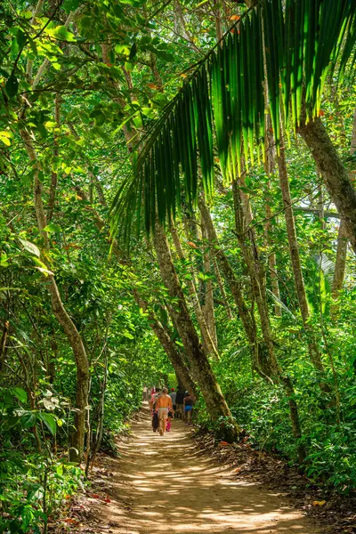 Vista Panorámica Del Parque Nacional Cahuita Costa Rica —  Fotos de Stock