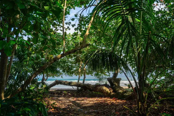 哥斯达黎加卡威塔国家公园的景观 — 图库照片