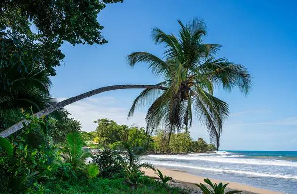 stock image Scenic view of Cahuita National Park, Costa Rica