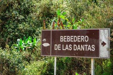 Kolombiya, Cauca 'daki Purace Ulusal Parkı manzarası