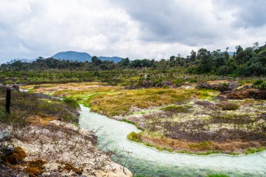 Kolombiya, Cauca 'daki Purace Ulusal Parkı manzarası