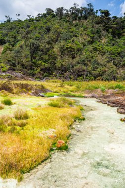 Kolombiya, Cauca 'daki Purace Ulusal Parkı manzarası