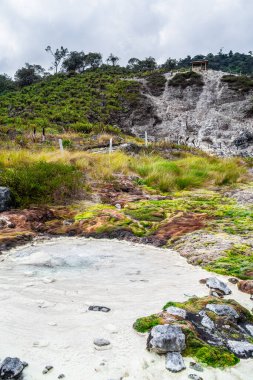Kolombiya, Cauca 'daki Purace Ulusal Parkı manzarası
