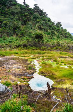 Kolombiya, Cauca 'daki Purace Ulusal Parkı manzarası