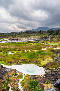 Kolombiya, Cauca 'daki Purace Ulusal Parkı manzarası