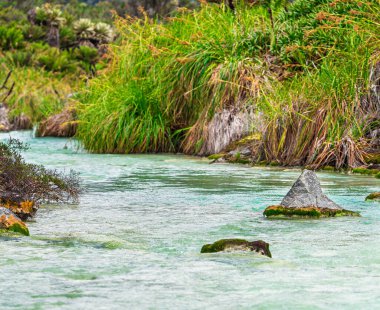 Kolombiya, Cauca 'daki Purace Ulusal Parkı manzarası