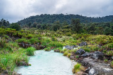 Kolombiya, Cauca 'daki Purace Ulusal Parkı manzarası