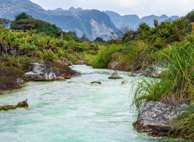 Kolombiya, Cauca 'daki Purace Ulusal Parkı manzarası