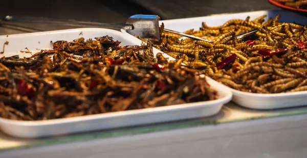 Fried Insects Grasshopper Insect Crispy Sauce Garnish Thai Pepper Powder — Stock Photo, Image