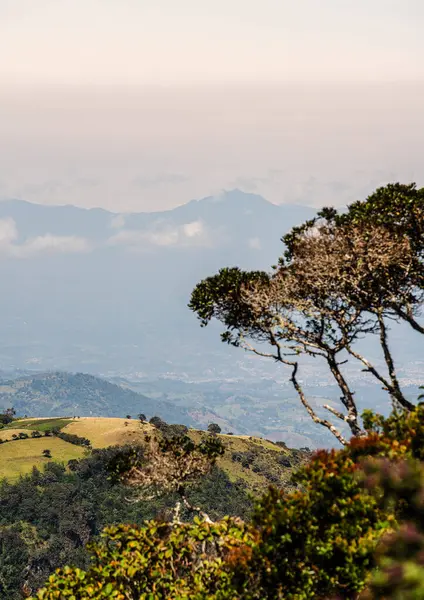Landschappelijk Uitzicht Purace National Park Cauca Colombië — Stockfoto