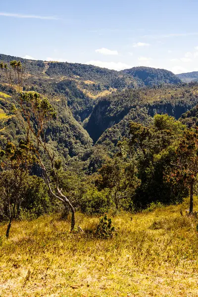Vue Panoramique Parc National Purace Cauca Colombie — Photo