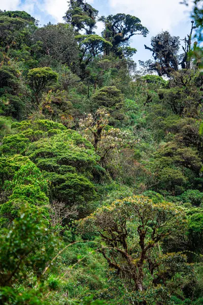 哥伦比亚考卡Purace国家公园的景观 — 图库照片