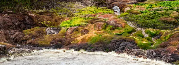 Scénický Pohled Národní Park Purace Cauce Kolumbii — Stock fotografie