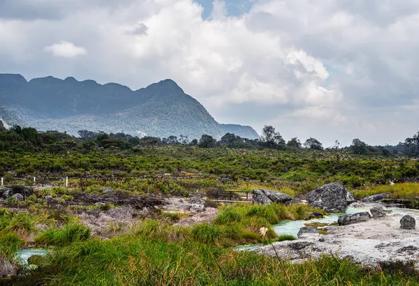 Scenisk Utsikt Över Palace National Park Kauca Colombia — Stockfoto