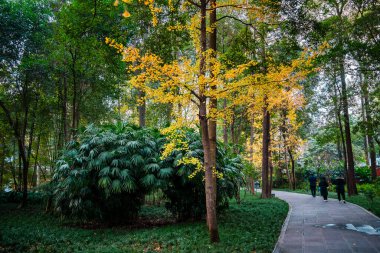 Chengdu, Çin - 2 Aralık 2023: Du Fu Thatched Cottage Park, HDR Image
