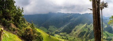 Quindio, Kolombiya 'daki Cocora Valley' in güzel manzarası, HDR Görüntü