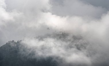 Quindio, Kolombiya 'daki Cocora Valley' in güzel manzarası, HDR Görüntü