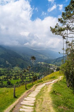 Quindio, Kolombiya 'daki Cocora Valley' in güzel manzarası, HDR Görüntü