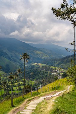 Quindio, Kolombiya 'daki Cocora Valley' in güzel manzarası, HDR Görüntü